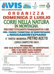 Memorial 17